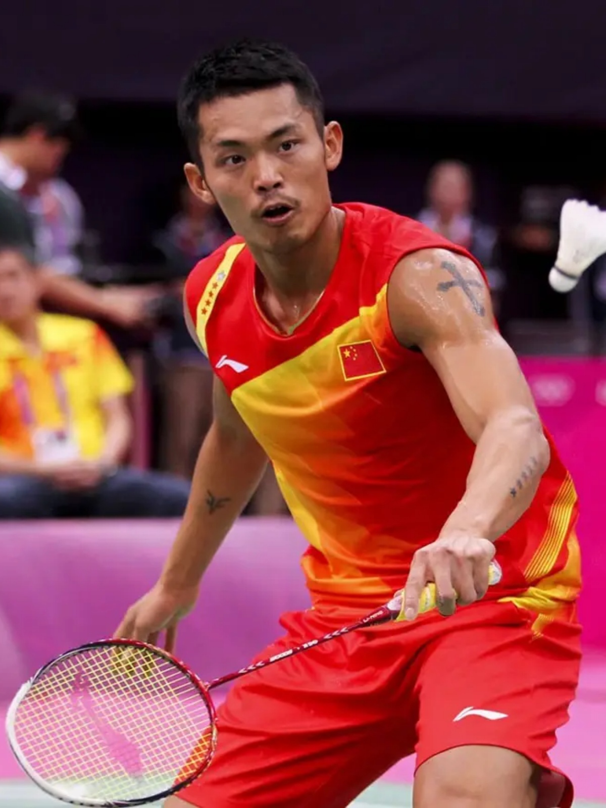 B費展現了 B費展現了