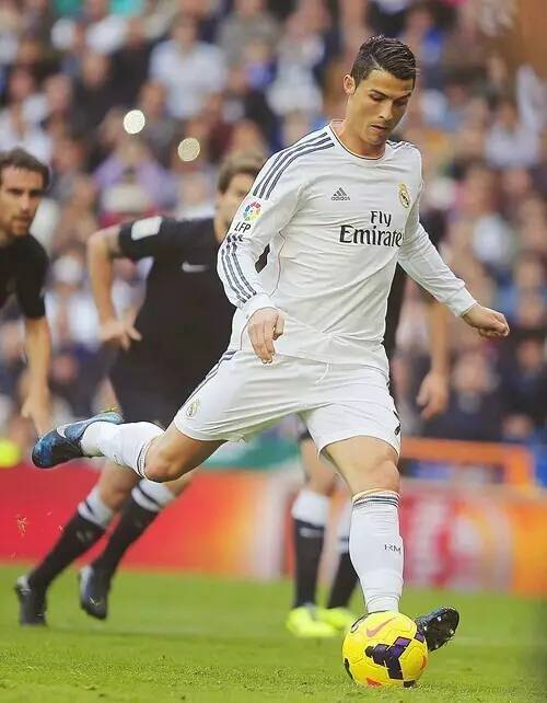 他们能够轻 他们能够轻