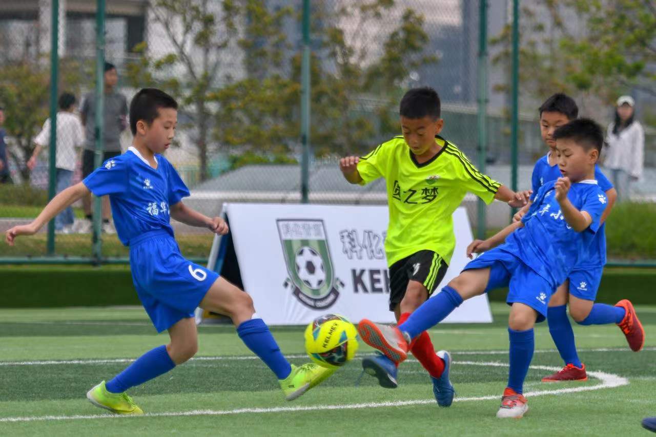 她都以自己 她都以自己