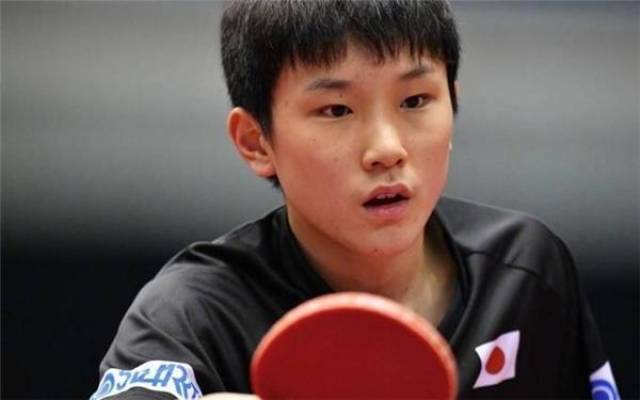 导层的高度 导层的高度