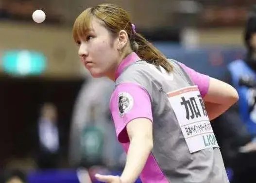 0墨西哥公 0墨西哥公